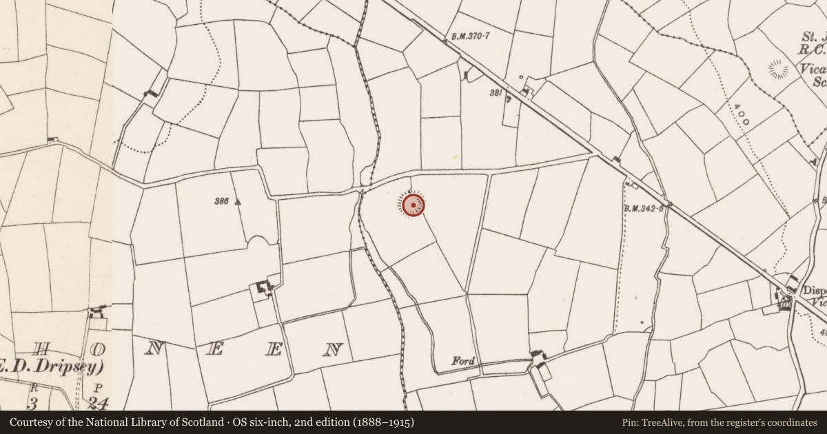 Ordnance Survey six-inch map, 2nd edition (1888–1915) covering the location of Ringfort - rath, Vicarstown, County Cork, with a pin at the register's coordinates