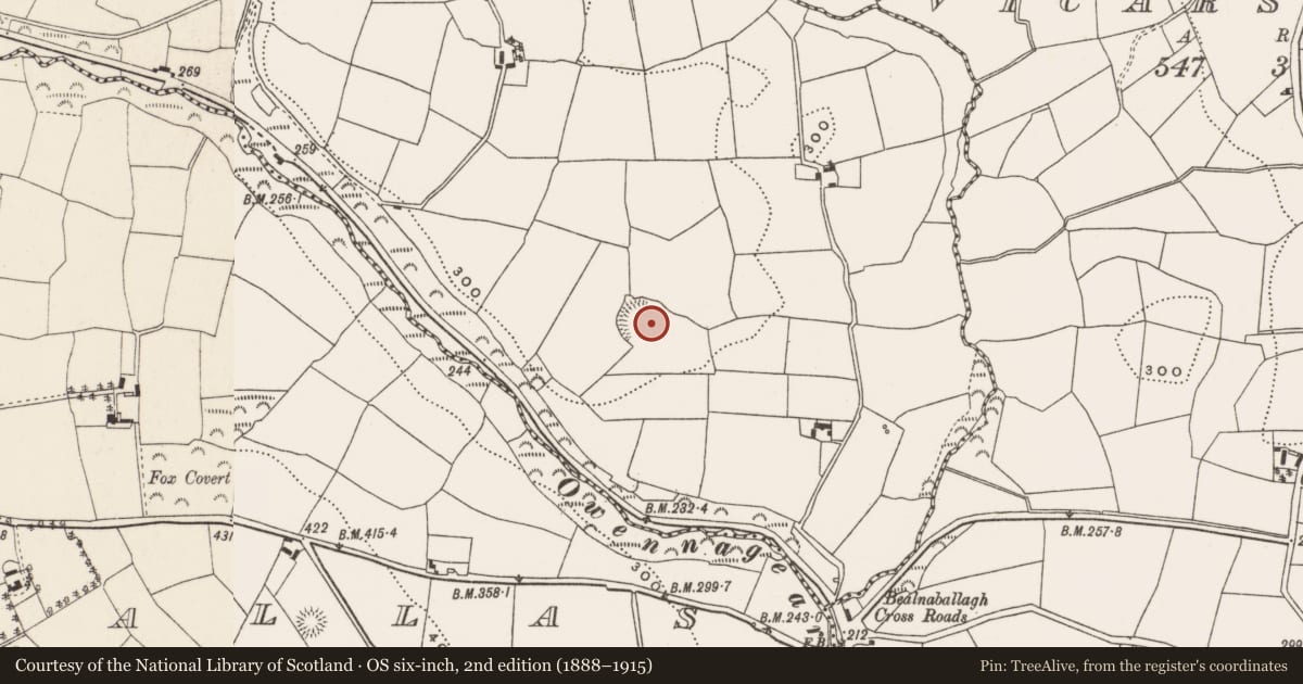 Ordnance Survey six-inch map, 2nd edition (1888–1915) covering the location of Ringfort - rath, Ballyshoneen (Muskerry East By., Inishcarra Par.), County Cork, with a pin at the register's coordinates