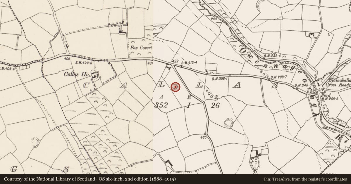 Ordnance Survey six-inch map, 2nd edition (1888–1915) covering the location of Ringfort - rath, Callas, County Cork, with a pin at the register's coordinates