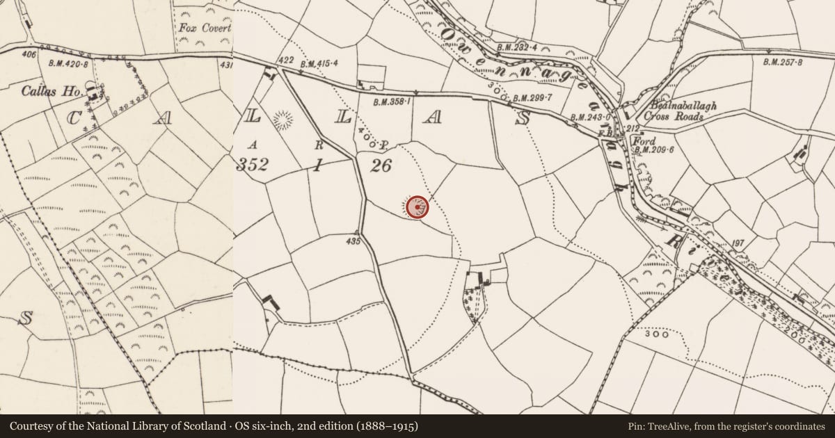 Ordnance Survey six-inch map, 2nd edition (1888–1915) covering the location of Ringfort - rath, Callas, County Cork, with a pin at the register's coordinates