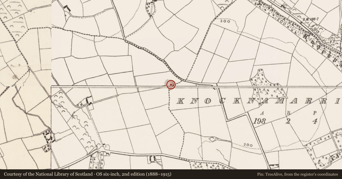 Ordnance Survey six-inch map, 2nd edition (1888–1915) covering the location of Ringfort - rath, Ballyanly, County Cork, with a pin at the register's coordinates