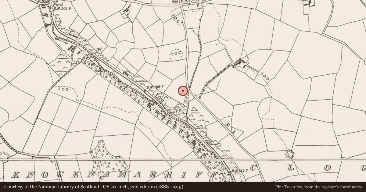 Ordnance Survey six-inch map, 2nd edition (1888–1915) covering the location of Standing stone, Vicarstown, County Cork, with a pin at the register's coordinates