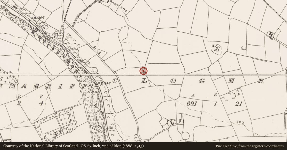 Ordnance Survey six-inch map, 2nd edition (1888–1915) covering the location of Ringfort - rath, Cloghroe, County Cork, with a pin at the register's coordinates