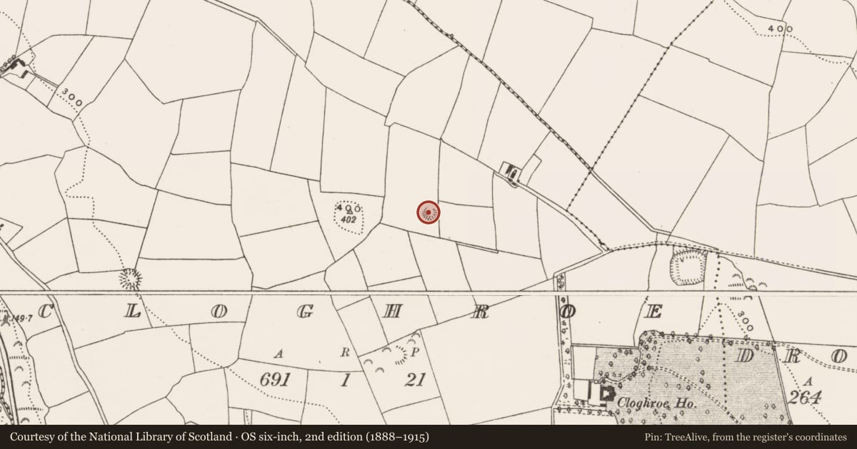 Ordnance Survey six-inch map, 2nd edition (1888–1915) covering the location of Ringfort - rath, Cloghroe, County Cork, with a pin at the register's coordinates
