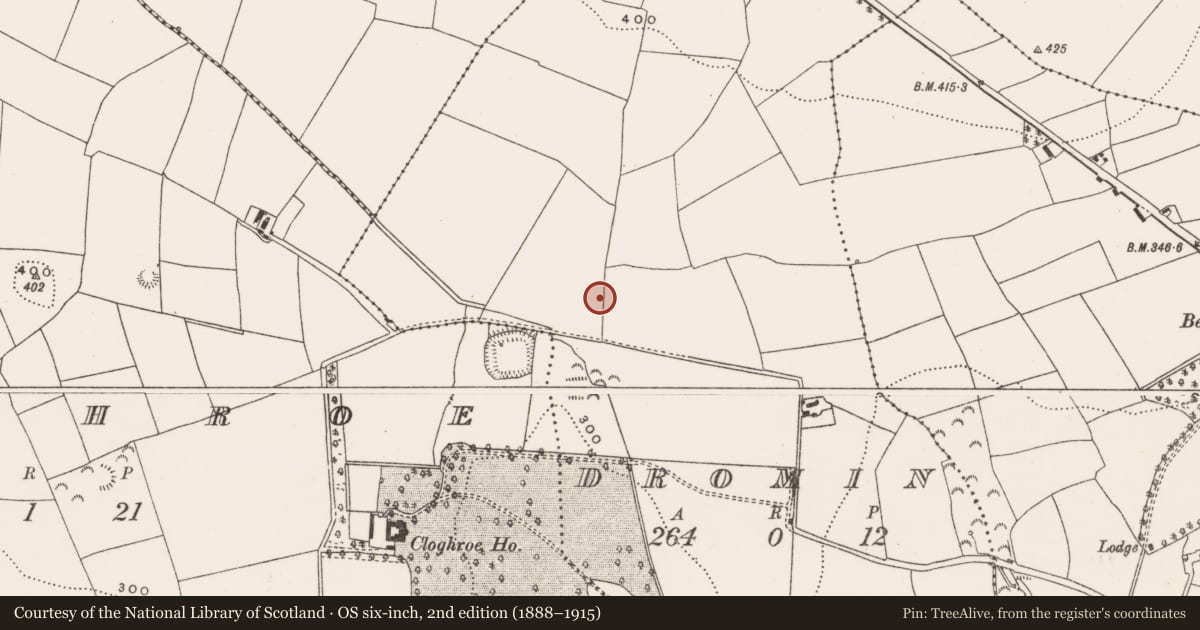 Ordnance Survey six-inch map, 2nd edition (1888–1915) covering the location of Burial ground, Dromin, County Cork, with a pin at the register's coordinates