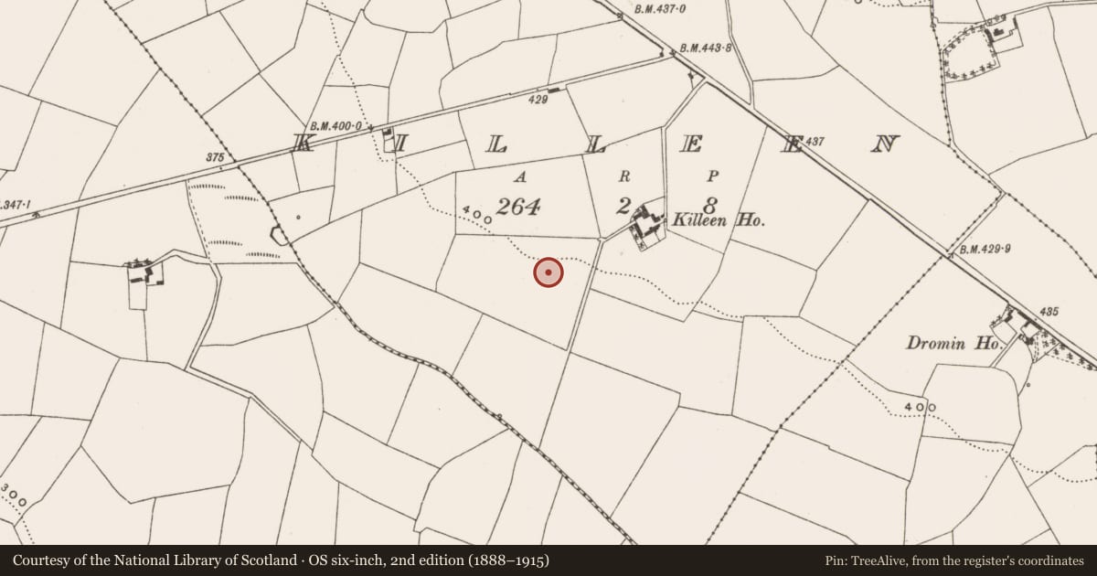 Ordnance Survey six-inch map, 2nd edition (1888–1915) covering the location of Standing stone, Killeen, County Cork, with a pin at the register's coordinates