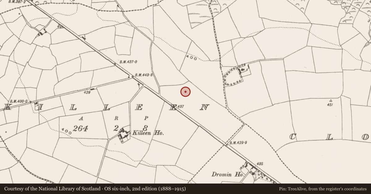 Ordnance Survey six-inch map, 2nd edition (1888–1915) covering the location of Standing stone, Killeen, County Cork, with a pin at the register's coordinates