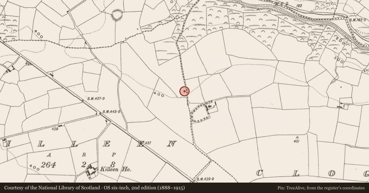 Ordnance Survey six-inch map, 2nd edition (1888–1915) covering the location of Fulacht fia, Killeen, County Cork, with a pin at the register's coordinates