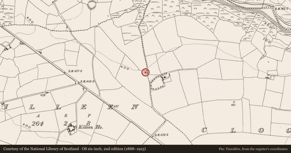 Ordnance Survey six-inch map, 2nd edition (1888–1915) covering the location of Fulacht fia, Killeen, County Cork, with a pin at the register's coordinates