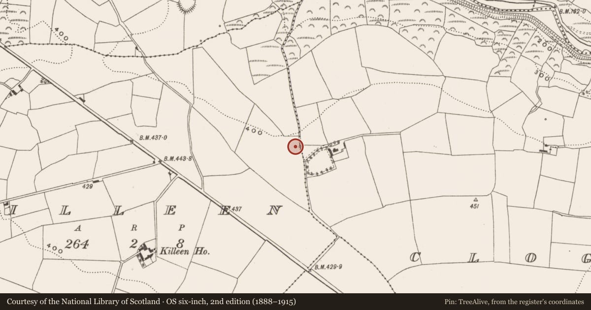 Ordnance Survey six-inch map, 2nd edition (1888–1915) covering the location of Fulacht fia, Killeen, County Cork, with a pin at the register's coordinates