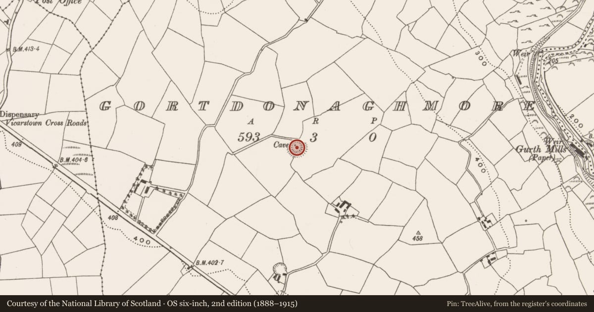 Ordnance Survey six-inch map, 2nd edition (1888–1915) covering the location of Ringfort - rath, Gortdonaghmore, County Cork, with a pin at the register's coordinates