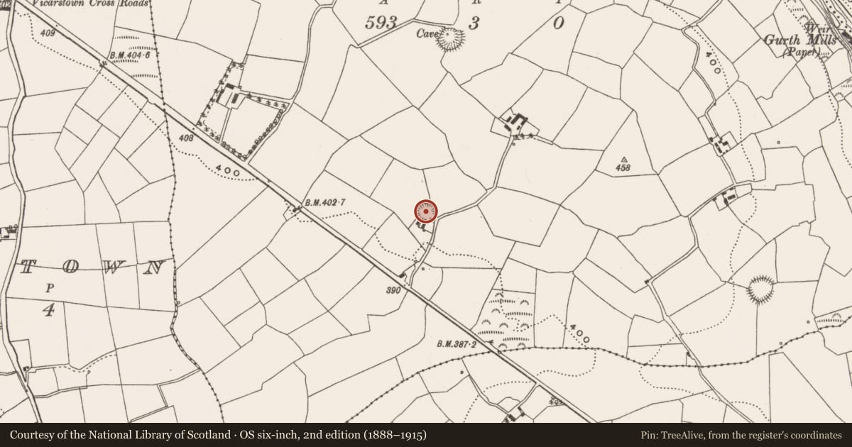 Ordnance Survey six-inch map, 2nd edition (1888–1915) covering the location of Ringfort - rath, Gortdonaghmore, County Cork, with a pin at the register's coordinates
