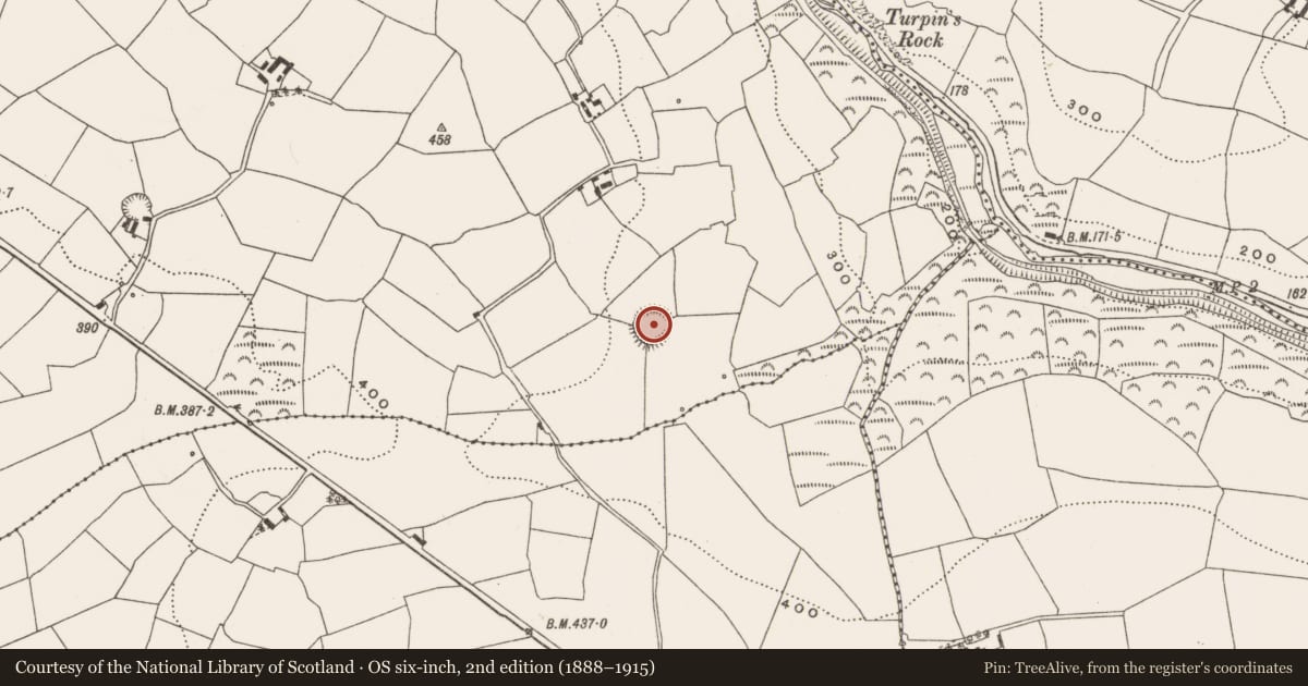 Ordnance Survey six-inch map, 2nd edition (1888–1915) covering the location of Ringfort - rath, Gortdonaghmore, County Cork, with a pin at the register's coordinates