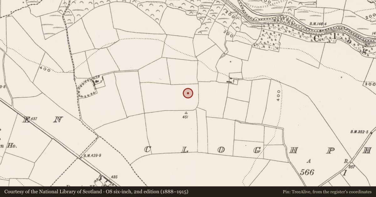Ordnance Survey six-inch map, 2nd edition (1888–1915) covering the location of Standing stone, Cloghphilip, County Cork, with a pin at the register's coordinates
