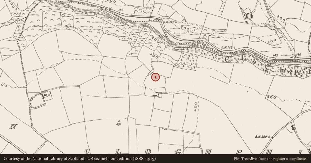 Ordnance Survey six-inch map, 2nd edition (1888–1915) covering the location of Fulacht fia, Cloghphilip, County Cork, with a pin at the register's coordinates