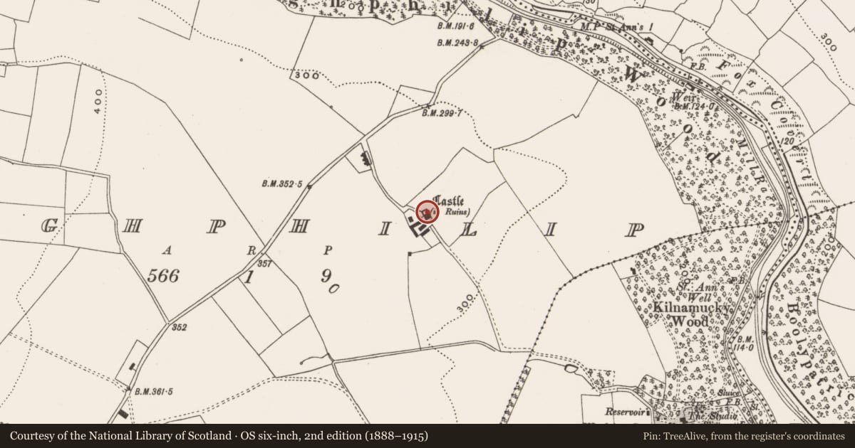Ordnance Survey six-inch map, 2nd edition (1888–1915) covering the location of Castle - tower house, Cloghphilip, County Cork, with a pin at the register's coordinates