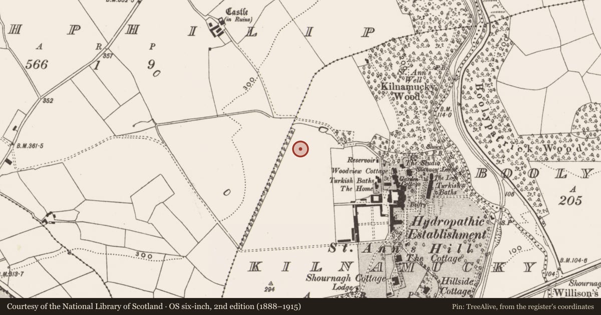 Ordnance Survey six-inch map, 2nd edition (1888–1915) covering the location of Burial ground, Kilnamucky, County Cork, with a pin at the register's coordinates