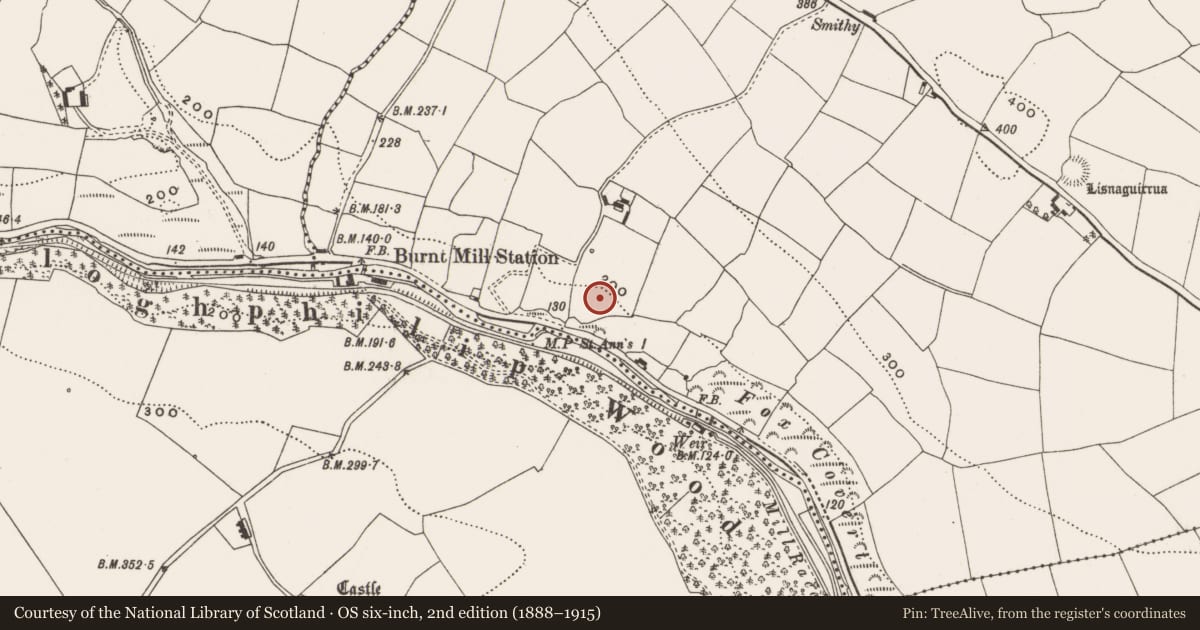 Ordnance Survey six-inch map, 2nd edition (1888–1915) covering the location of Church, Killowen, County Cork, with a pin at the register's coordinates