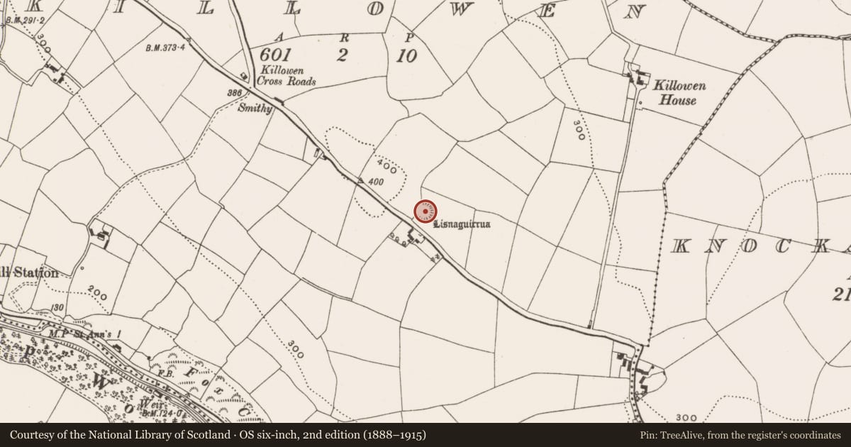 Ordnance Survey six-inch map, 2nd edition (1888–1915) covering the location of Ringfort - rath, Killowen, County Cork, with a pin at the register's coordinates