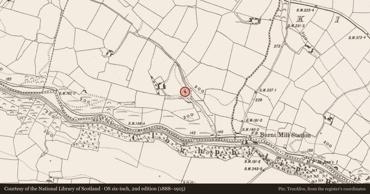 Ordnance Survey six-inch map, 2nd edition (1888–1915) covering the location of Mass-rock, Loughane East, County Cork, with a pin at the register's coordinates