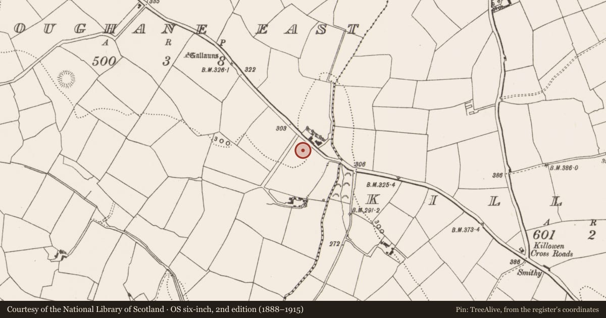 Ordnance Survey six-inch map, 2nd edition (1888–1915) covering the location of Ringfort - rath, Loughane East, County Cork, with a pin at the register's coordinates