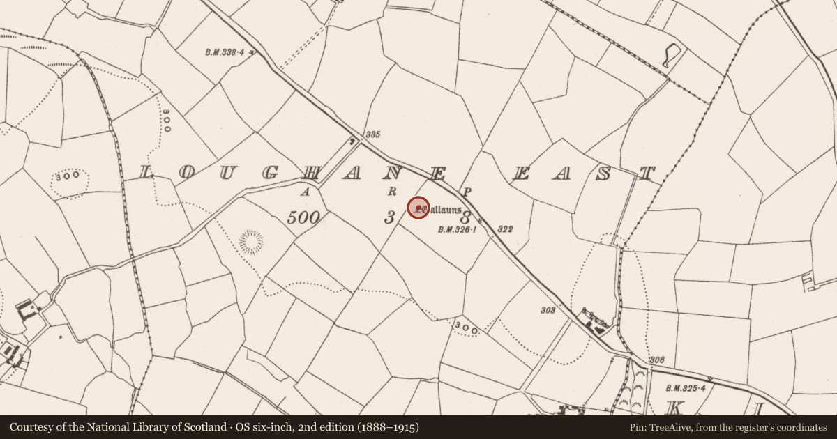 Ordnance Survey six-inch map, 2nd edition (1888–1915) covering the location of Standing stone - pair, Loughane East, County Cork, with a pin at the register's coordinates