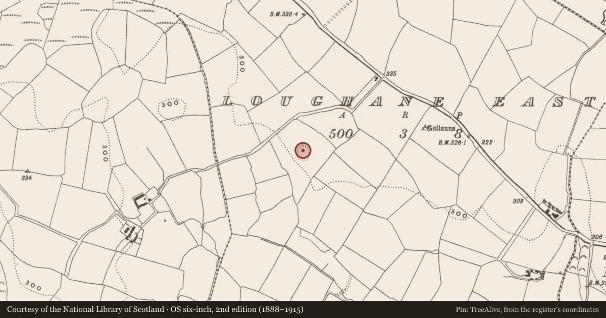 Ordnance Survey six-inch map, 2nd edition (1888–1915) covering the location of Ringfort - rath, Loughane East, County Cork, with a pin at the register's coordinates