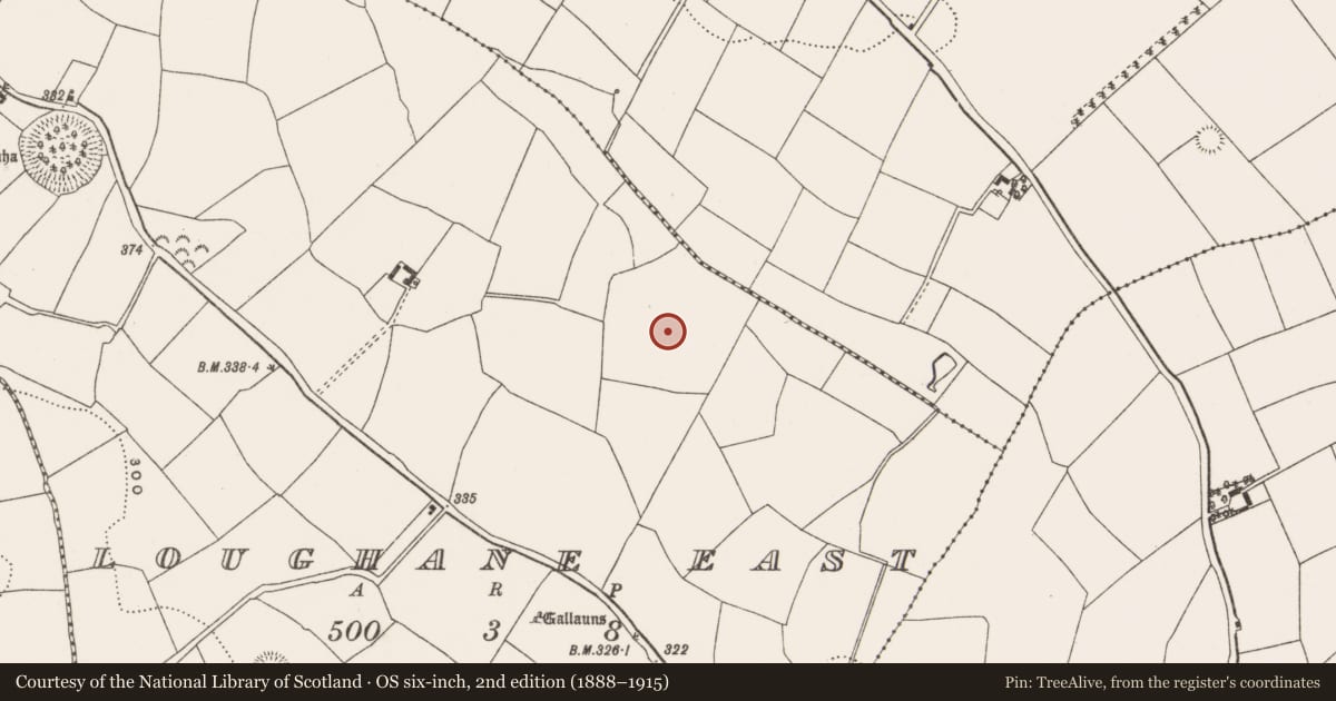 Ordnance Survey six-inch map, 2nd edition (1888–1915) covering the location of Standing stone, Loughane East, County Cork, with a pin at the register's coordinates