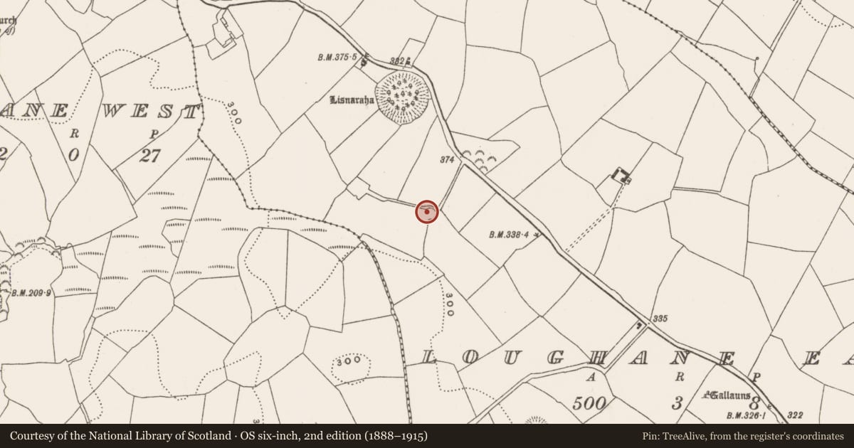 Ordnance Survey six-inch map, 2nd edition (1888–1915) covering the location of Ringfort - rath, Loughane East, County Cork, with a pin at the register's coordinates