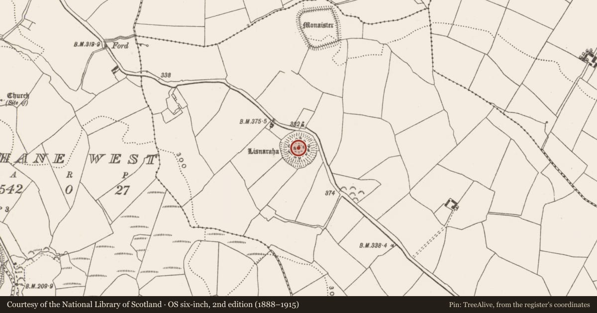 Ordnance Survey six-inch map, 2nd edition (1888–1915) covering the location of Ringfort - rath, Loughane East, County Cork, with a pin at the register's coordinates
