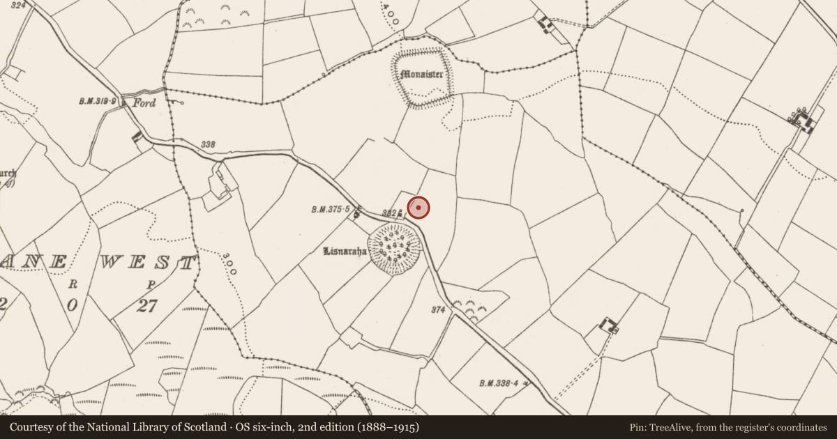 Ordnance Survey six-inch map, 2nd edition (1888–1915) covering the location of Standing stone, Loughane East, County Cork, with a pin at the register's coordinates