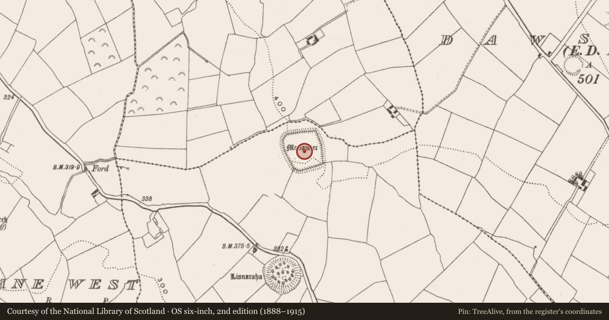Ordnance Survey six-inch map, 2nd edition (1888–1915) covering the location of Moated site, Loughane East, County Cork, with a pin at the register's coordinates
