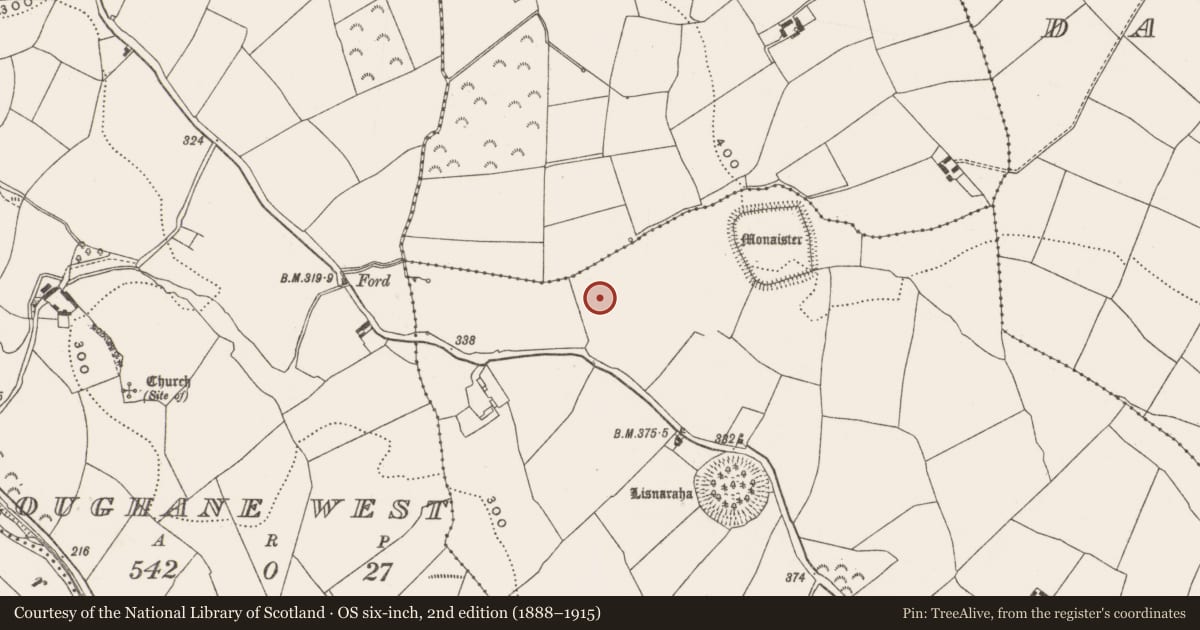 Ordnance Survey six-inch map, 2nd edition (1888–1915) covering the location of Fulacht fia, Loughane East, County Cork, with a pin at the register's coordinates
