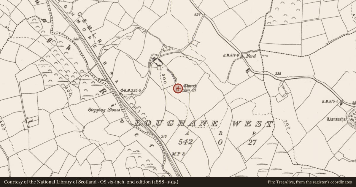 Ordnance Survey six-inch map, 2nd edition (1888–1915) covering the location of Standing stone, Loughane West, County Cork, with a pin at the register's coordinates