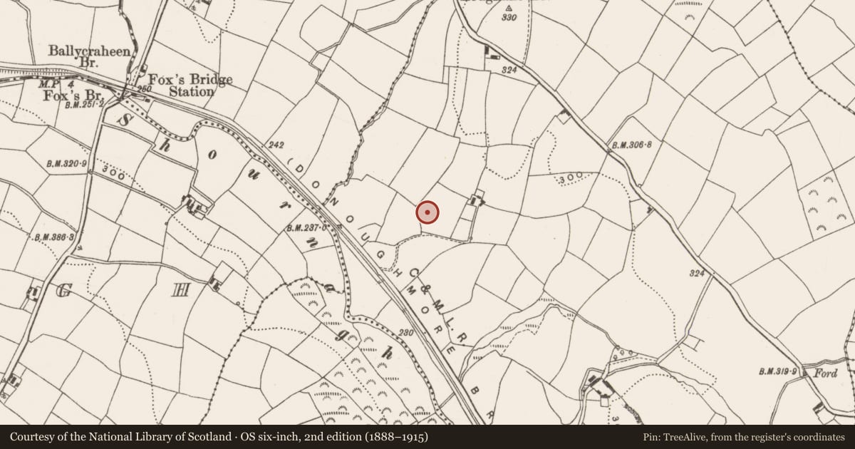 Ordnance Survey six-inch map, 2nd edition (1888–1915) covering the location of Standing stone, Loughane West, County Cork, with a pin at the register's coordinates
