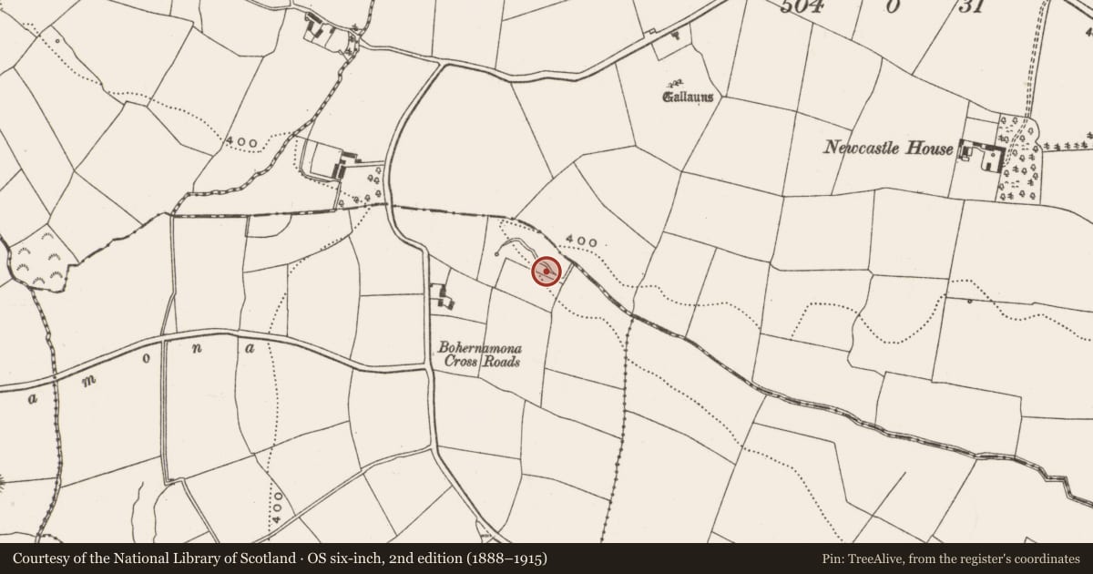Ordnance Survey six-inch map, 2nd edition (1888–1915) covering the location of Fulacht fia, Dawstown (Muskerry East By., Matehy Par.), County Cork, with a pin at the register's coordinates