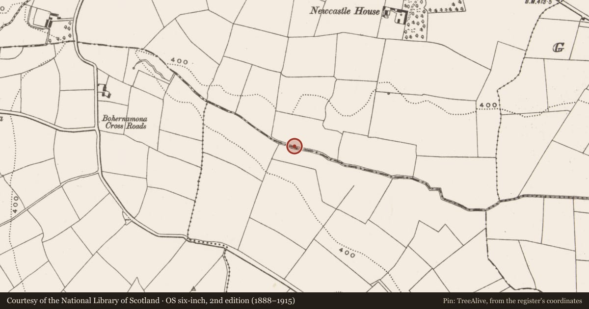 Ordnance Survey six-inch map, 2nd edition (1888–1915) covering the location of Water mill - horizontal-wheeled, Dawstown (Muskerry East By., Garrycloyne Par.), County Cork, with a pin at the register's coordinates