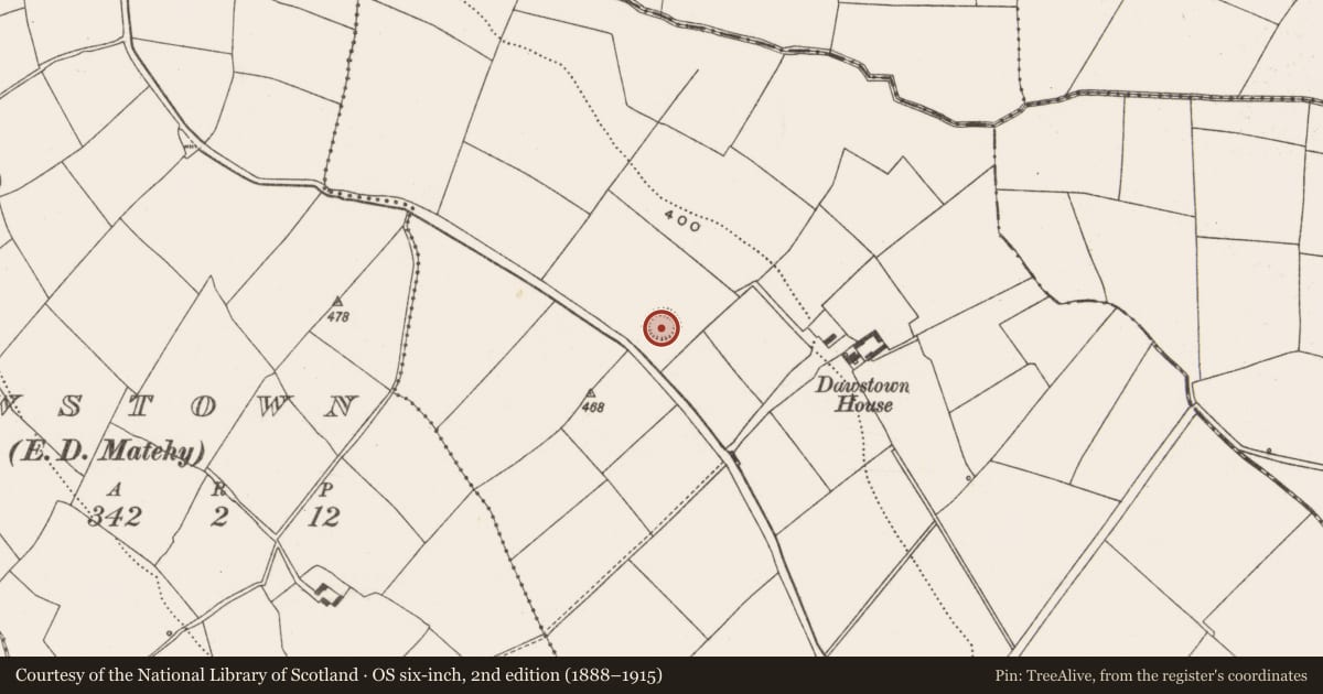 Ordnance Survey six-inch map, 2nd edition (1888–1915) covering the location of Ringfort - rath, Dawstown (Muskerry East By., Garrycloyne Par.), County Cork, with a pin at the register's coordinates