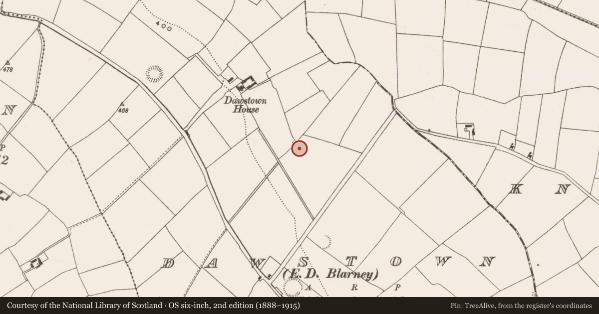 Ordnance Survey six-inch map, 2nd edition (1888–1915) covering the location of Fulacht fia, Dawstown (Muskerry East By., Garrycloyne Par.), County Cork, with a pin at the register's coordinates