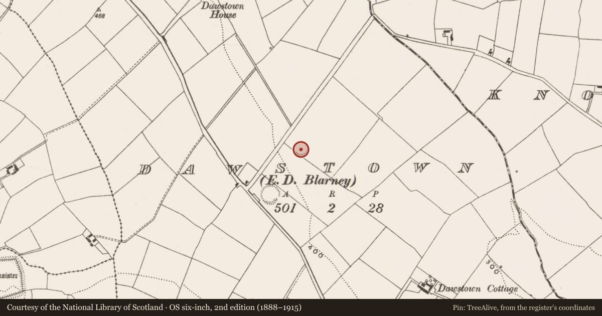 Ordnance Survey six-inch map, 2nd edition (1888–1915) covering the location of Ringfort - rath, Dawstown (Muskerry East By., Garrycloyne Par.), County Cork, with a pin at the register's coordinates