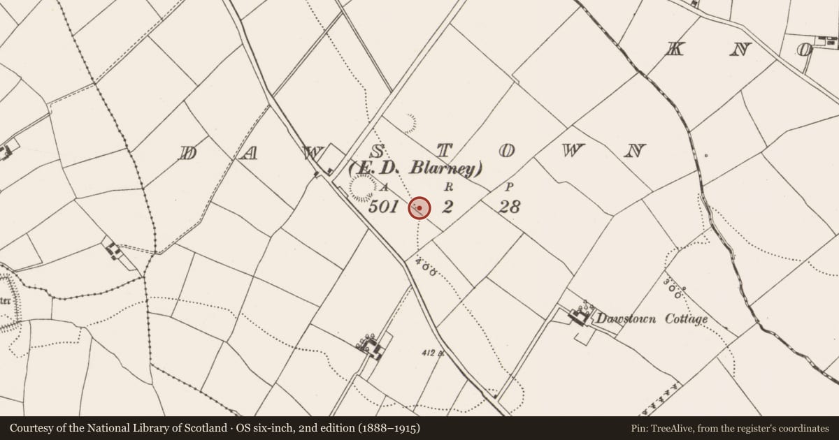 Ordnance Survey six-inch map, 2nd edition (1888–1915) covering the location of Standing stone, Dawstown (Muskerry East By., Garrycloyne Par.), County Cork, with a pin at the register's coordinates