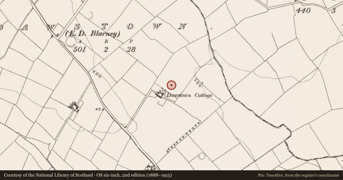 Ordnance Survey six-inch map, 2nd edition (1888–1915) covering the location of Standing stone, Dawstown (Muskerry East By., Garrycloyne Par.), County Cork, with a pin at the register's coordinates