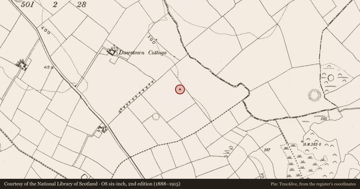 Ordnance Survey six-inch map, 2nd edition (1888–1915) covering the location of Fulacht fia, Dawstown (Muskerry East By., Garrycloyne Par.), County Cork, with a pin at the register's coordinates
