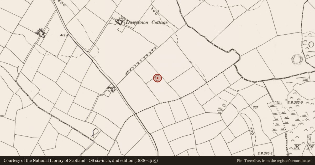 Ordnance Survey six-inch map, 2nd edition (1888–1915) covering the location of Ringfort - rath, Dawstown (Muskerry East By., Garrycloyne Par.), County Cork, with a pin at the register's coordinates