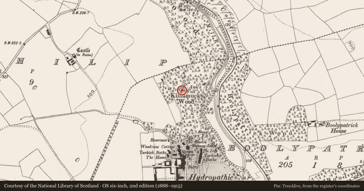 Ordnance Survey six-inch map, 2nd edition (1888–1915) covering the location of Ritual site - holy well, Kilnamucky, County Cork, with a pin at the register's coordinates