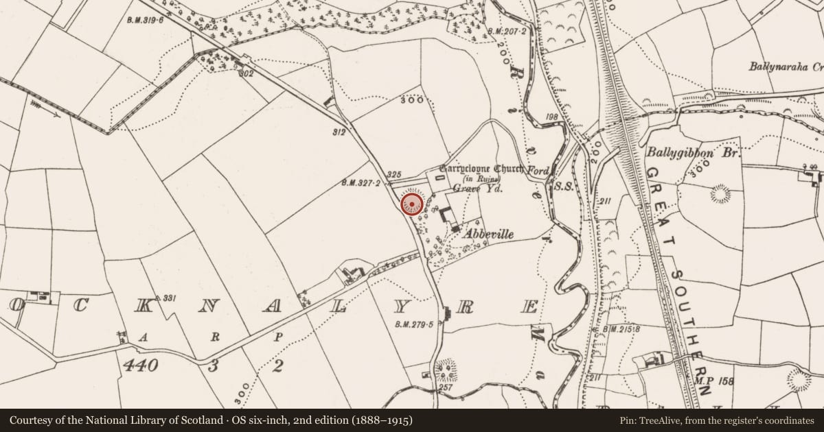 Ordnance Survey six-inch map, 2nd edition (1888–1915) covering the location of Ringfort - rath, Knocknalyre, County Cork, with a pin at the register's coordinates