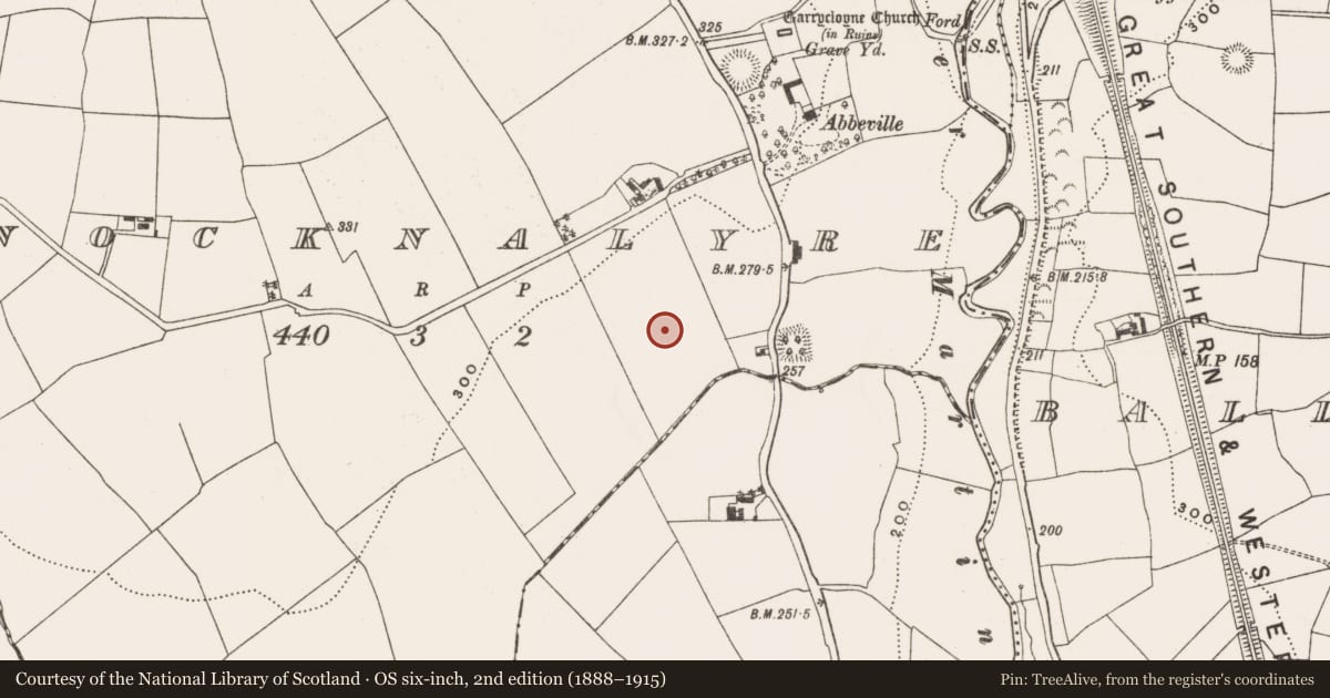 Ordnance Survey six-inch map, 2nd edition (1888–1915) covering the location of Standing stone, Knocknalyre, County Cork, with a pin at the register's coordinates