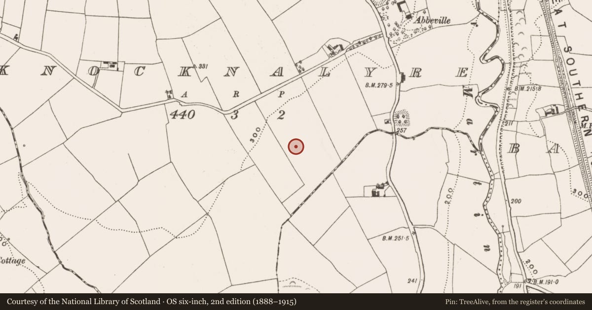 Ordnance Survey six-inch map, 2nd edition (1888–1915) covering the location of Standing stone, Knocknalyre, County Cork, with a pin at the register's coordinates