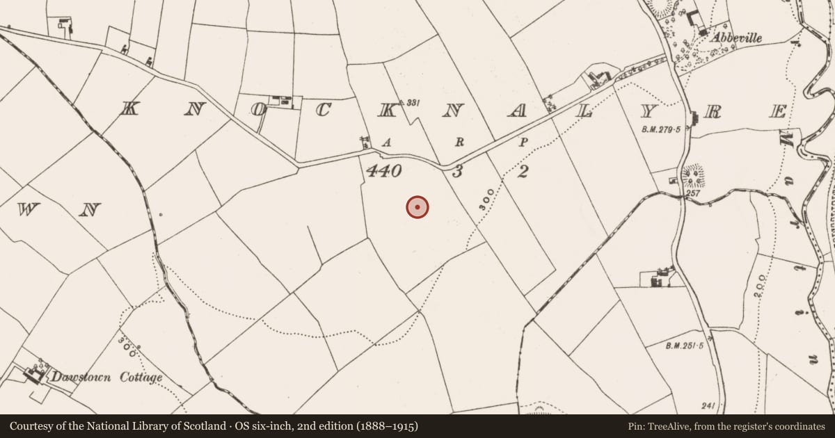 Ordnance Survey six-inch map, 2nd edition (1888–1915) covering the location of Standing stone, Knocknalyre, County Cork, with a pin at the register's coordinates