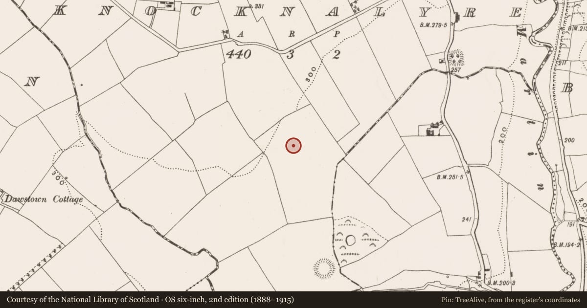 Ordnance Survey six-inch map, 2nd edition (1888–1915) covering the location of Standing stone, Knocknalyre, County Cork, with a pin at the register's coordinates